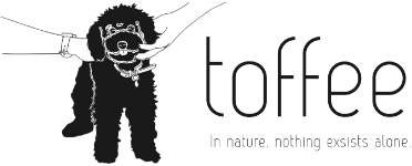 toffee合同会社｜愛犬と、もっと豊かに、もっと幸せに。
